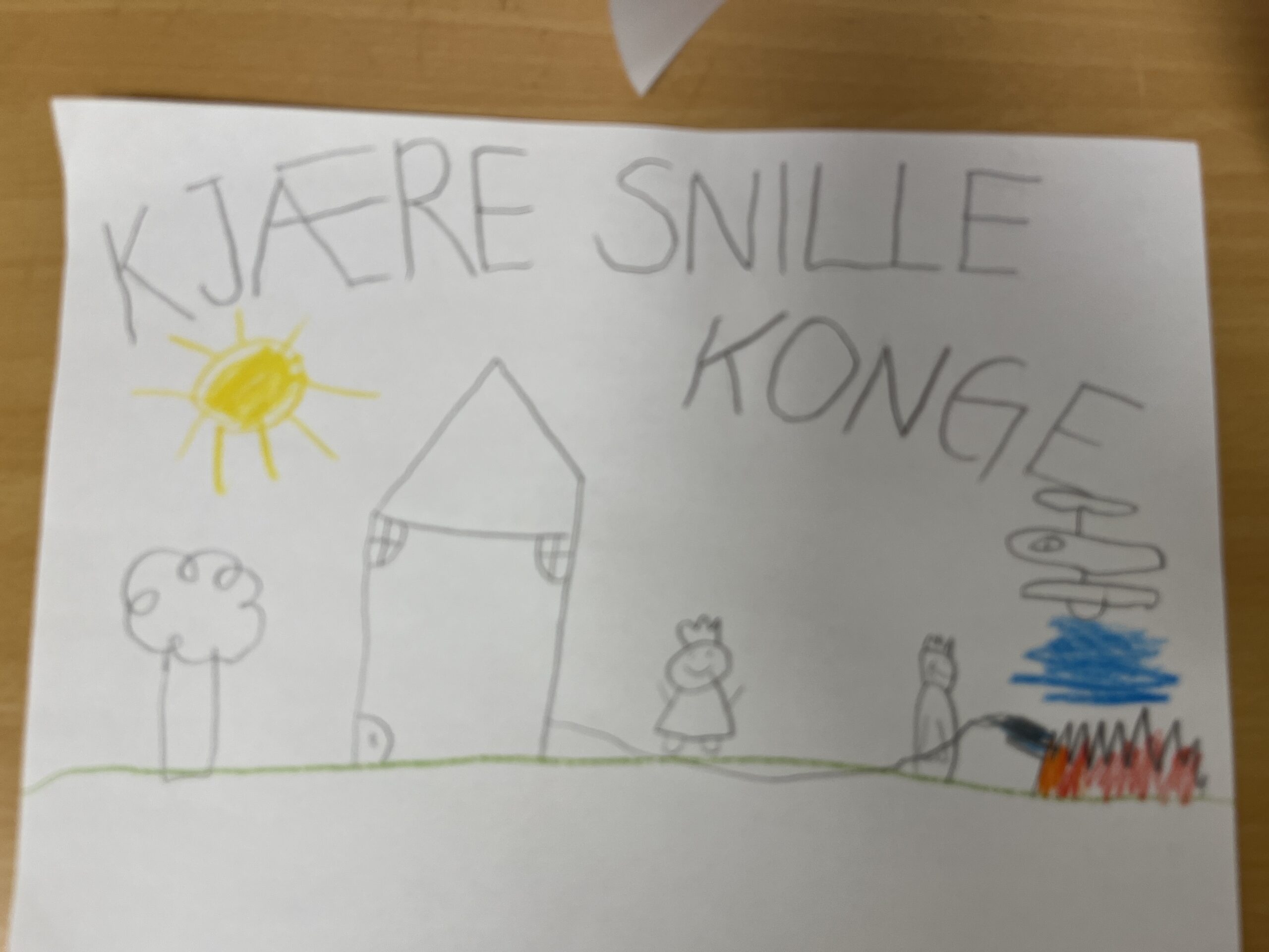 Laget tegninger til kongen